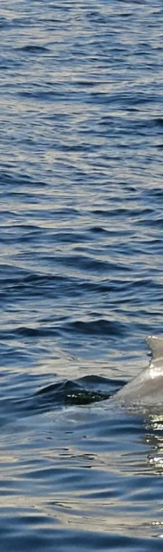 Was für ein Glück!